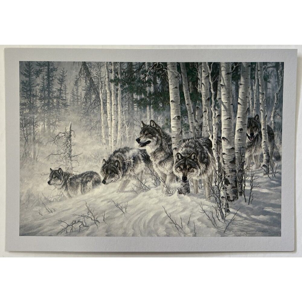 Leanin Tree Blank Greeting Cards Shift in the Wind Wolf Wildlife Lot Of 5